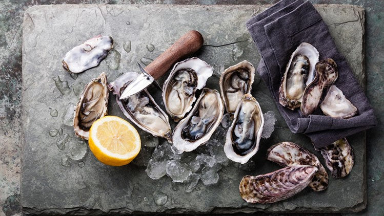 Carlingford Oyster Experience