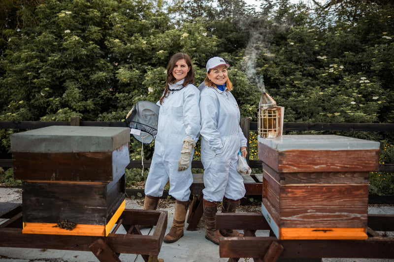 Mother and daughter beekeepers take on the gin world!