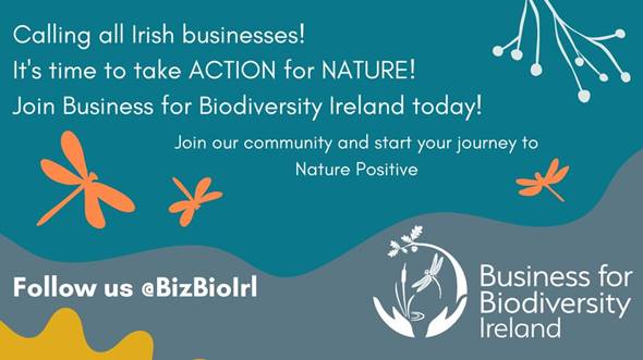 Biodiversity Ireland