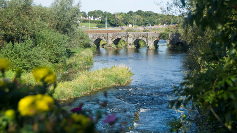 Discover the Flavours of the Boyne Valley- Trim and Navan Itinerary
