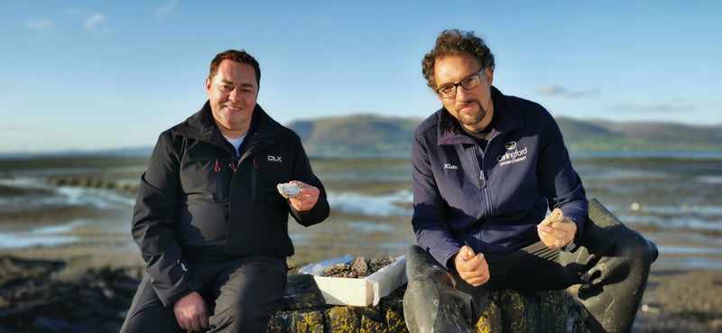 Louth to feature on Neven's Irish Seafood Trails on RTÉ 1