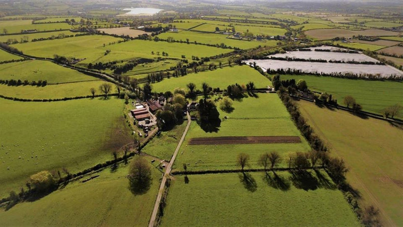 Shalvanstown Organic Farm in the Boyne Valley has 20 years experience in Biodynamic farming of beef, lamb and malting barley for distilleries.