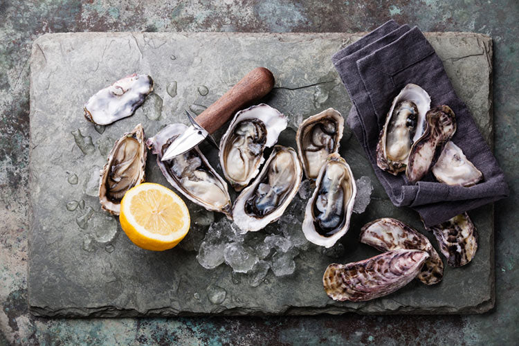 London’s Top Chefs visit Carlingford Oyster Company